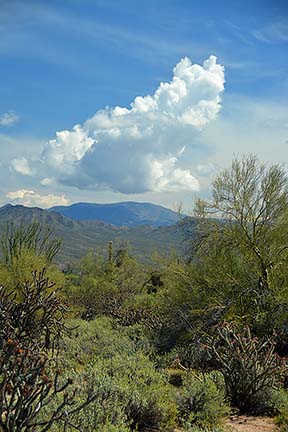 Cumulus cloud, McDowell Mountain Regional Park, March 20, 2015